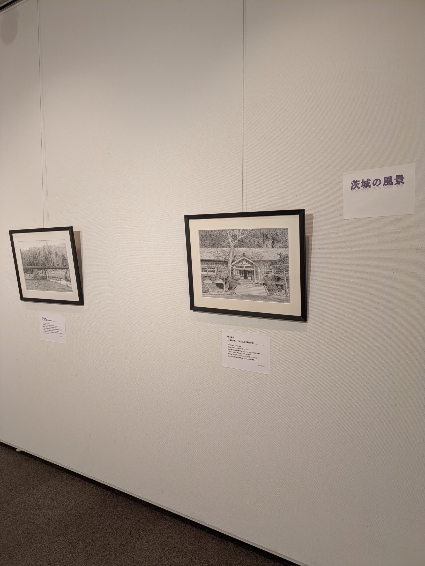 展示の様子