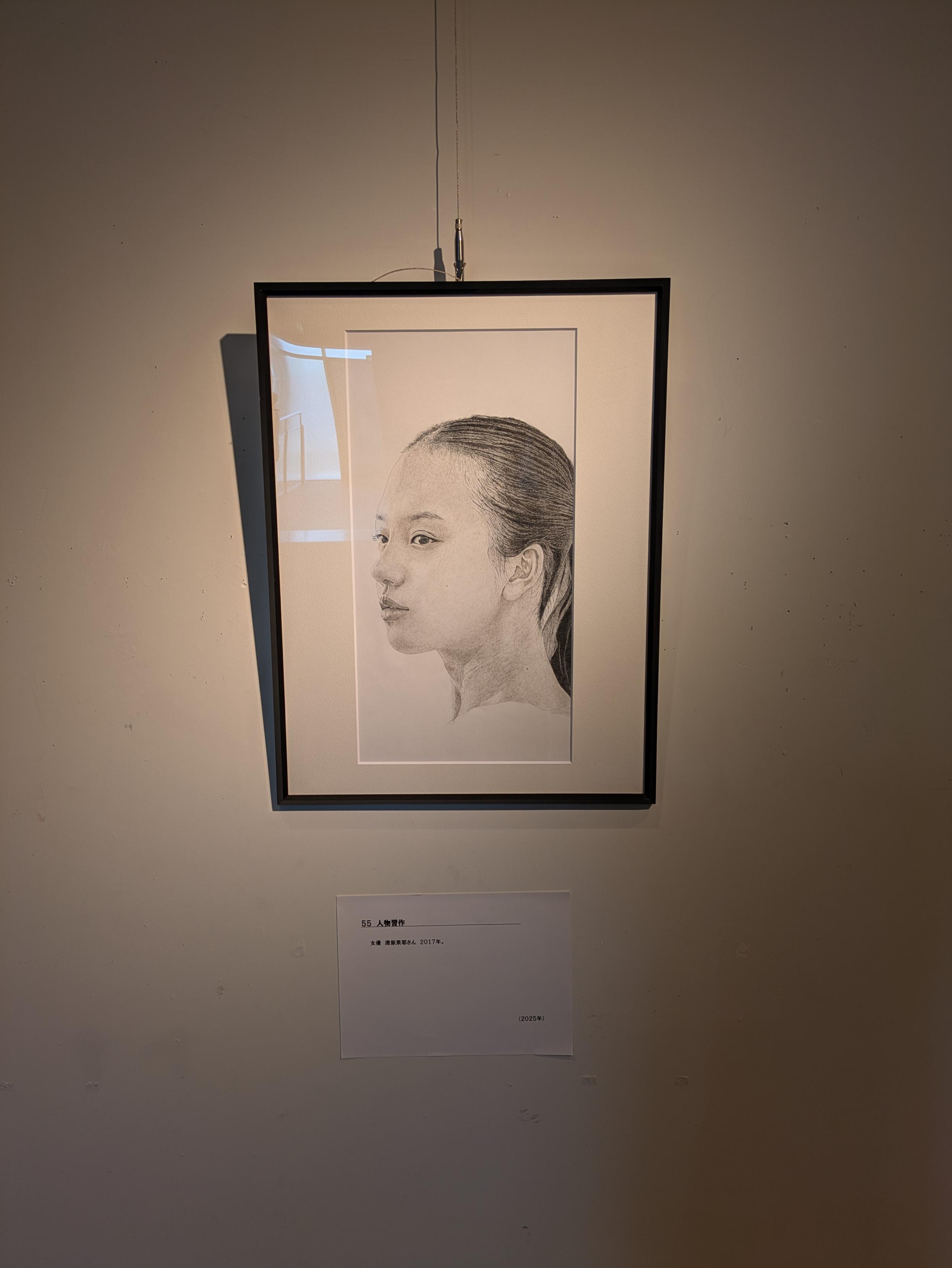 展示の様子