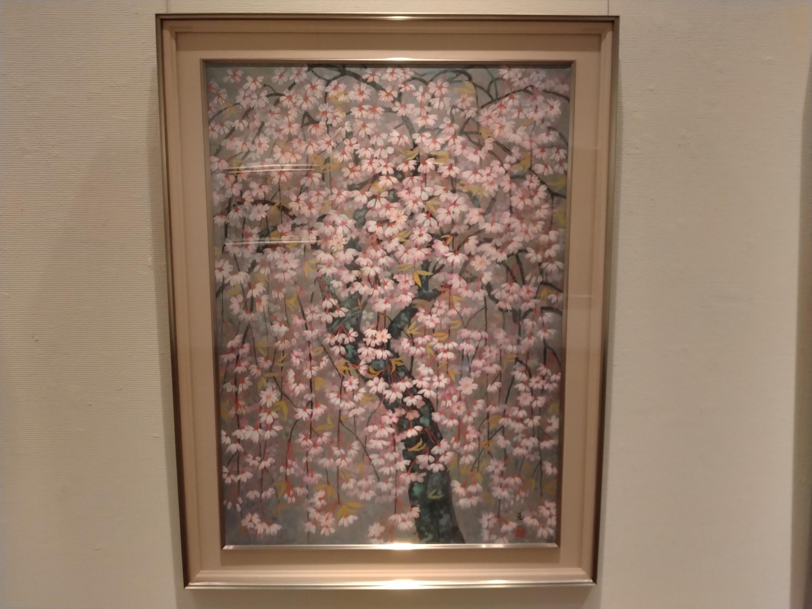 展示の様子