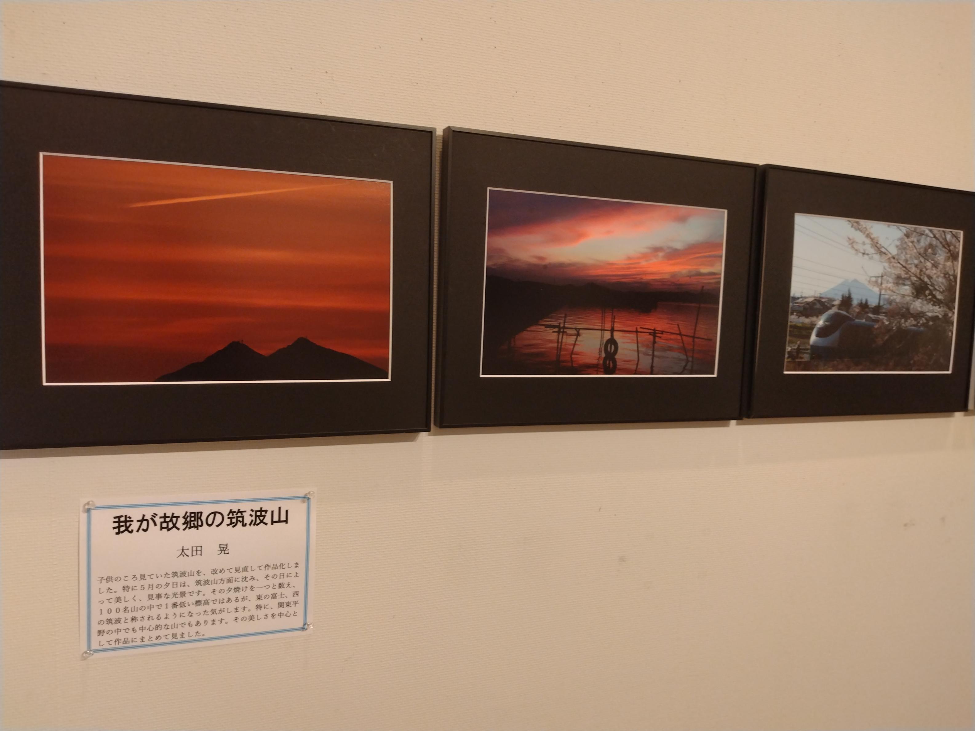 展示の様子
