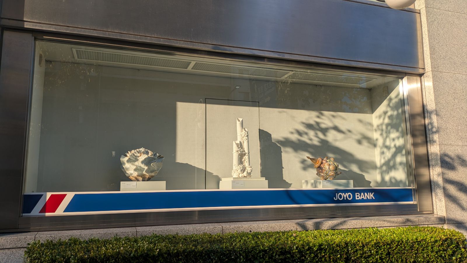 展示の様子