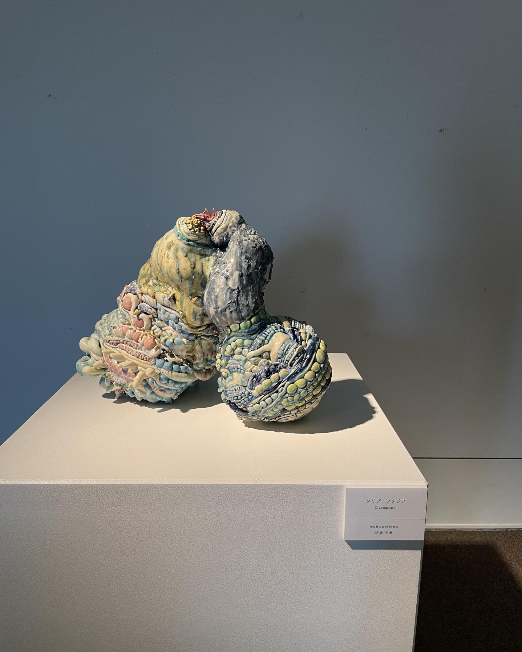 展示の様子