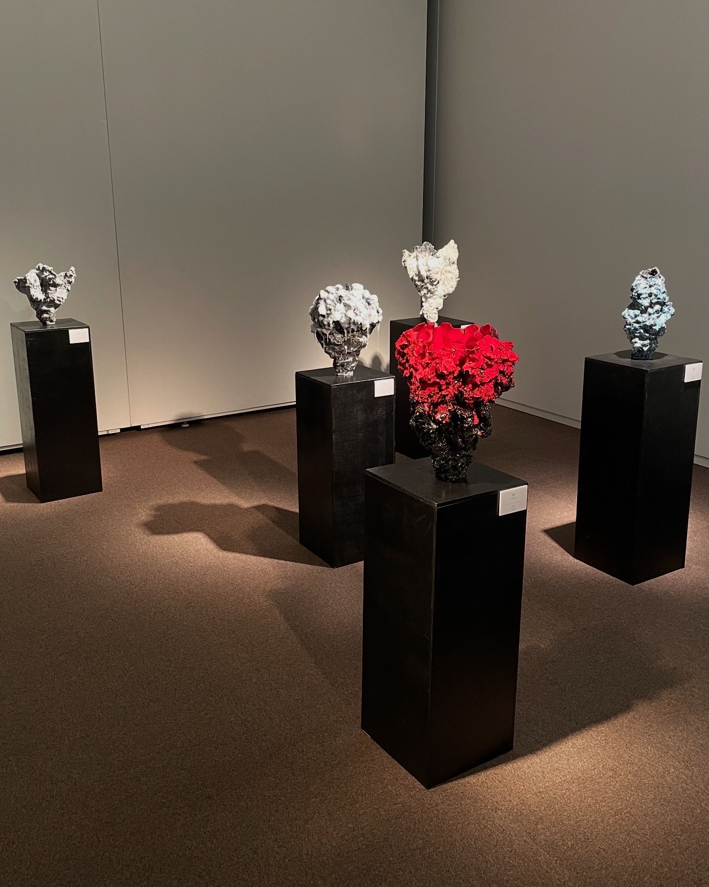 展示の様子