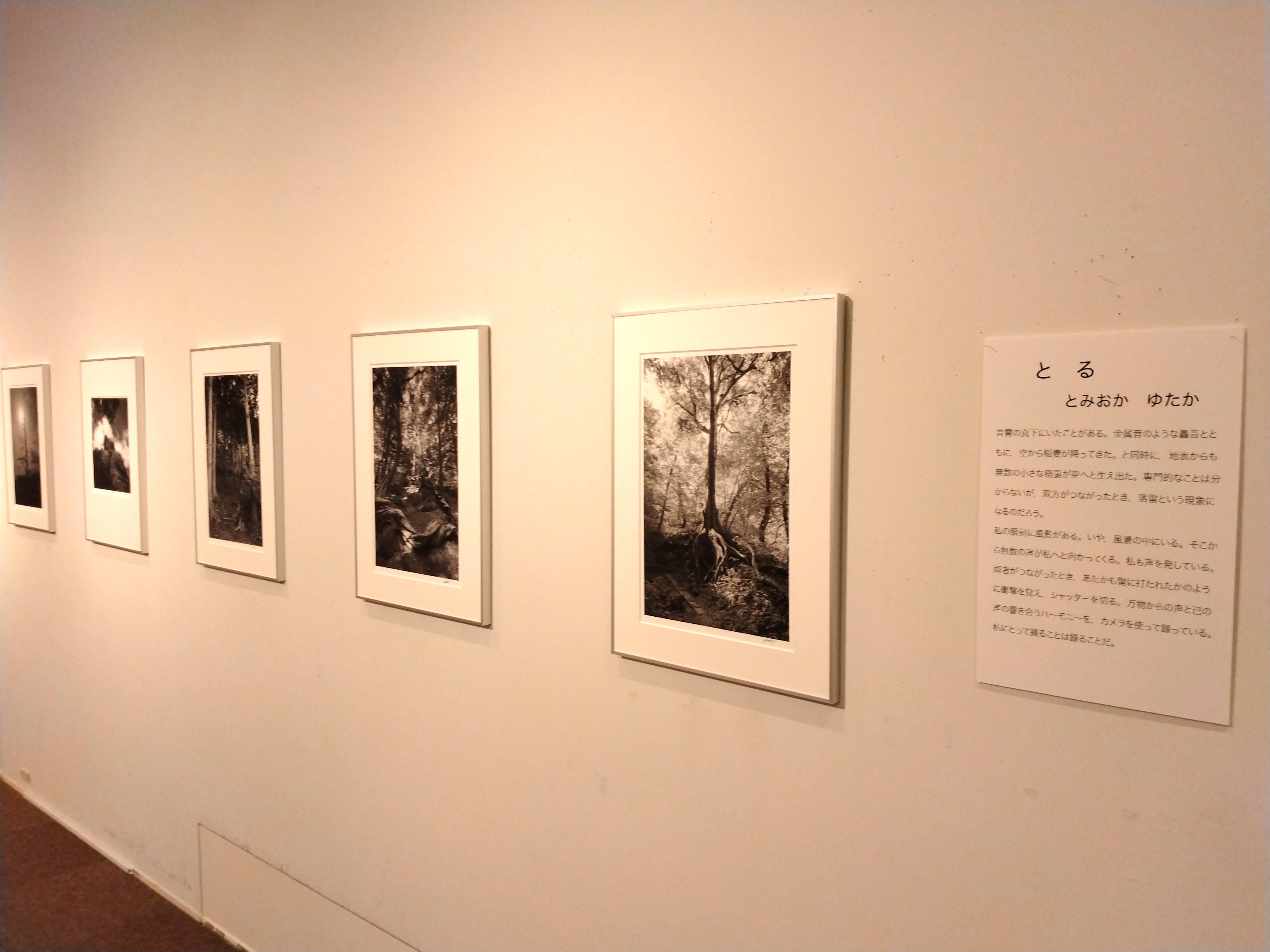 展示の様子