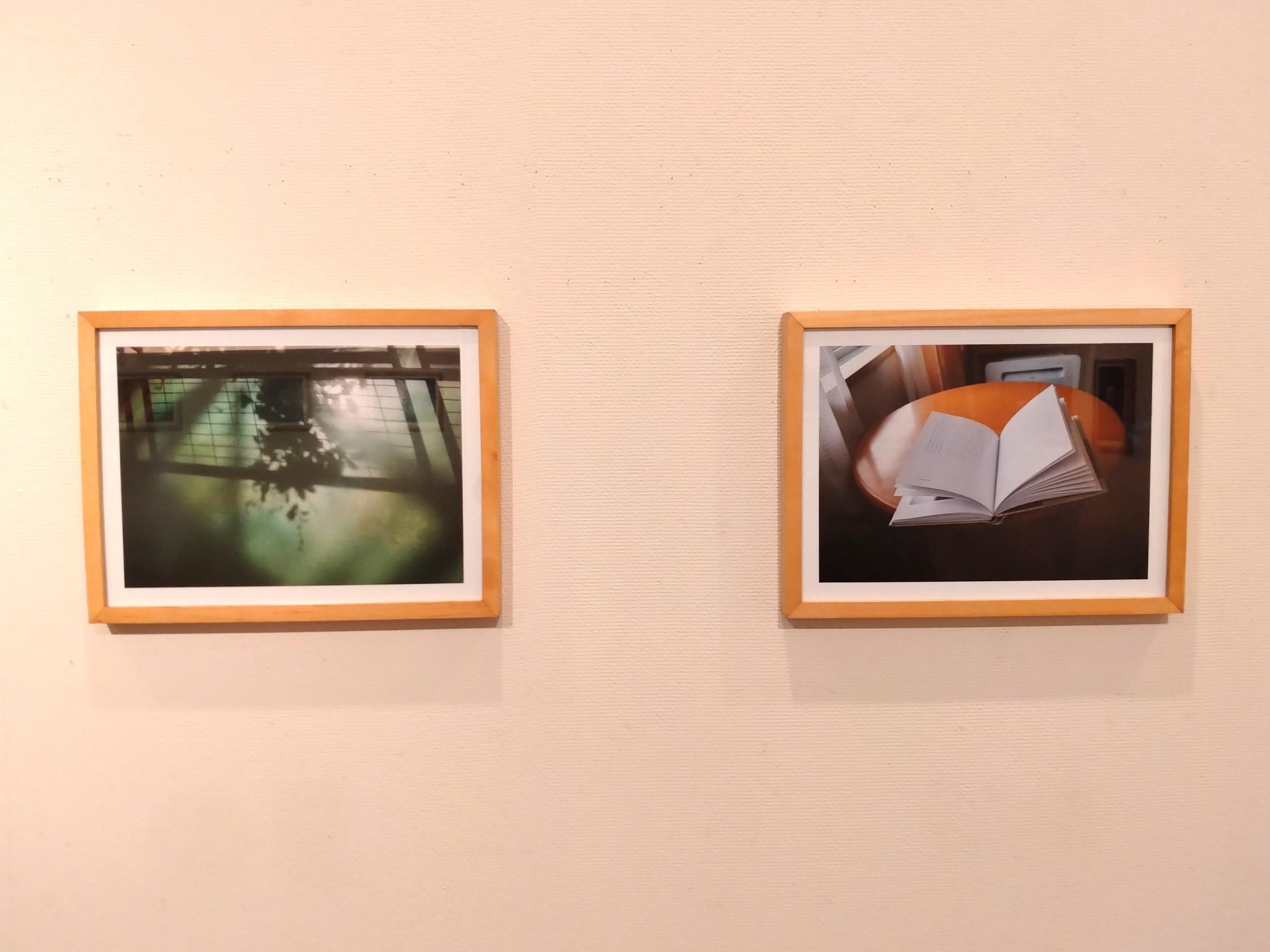 展示の様子