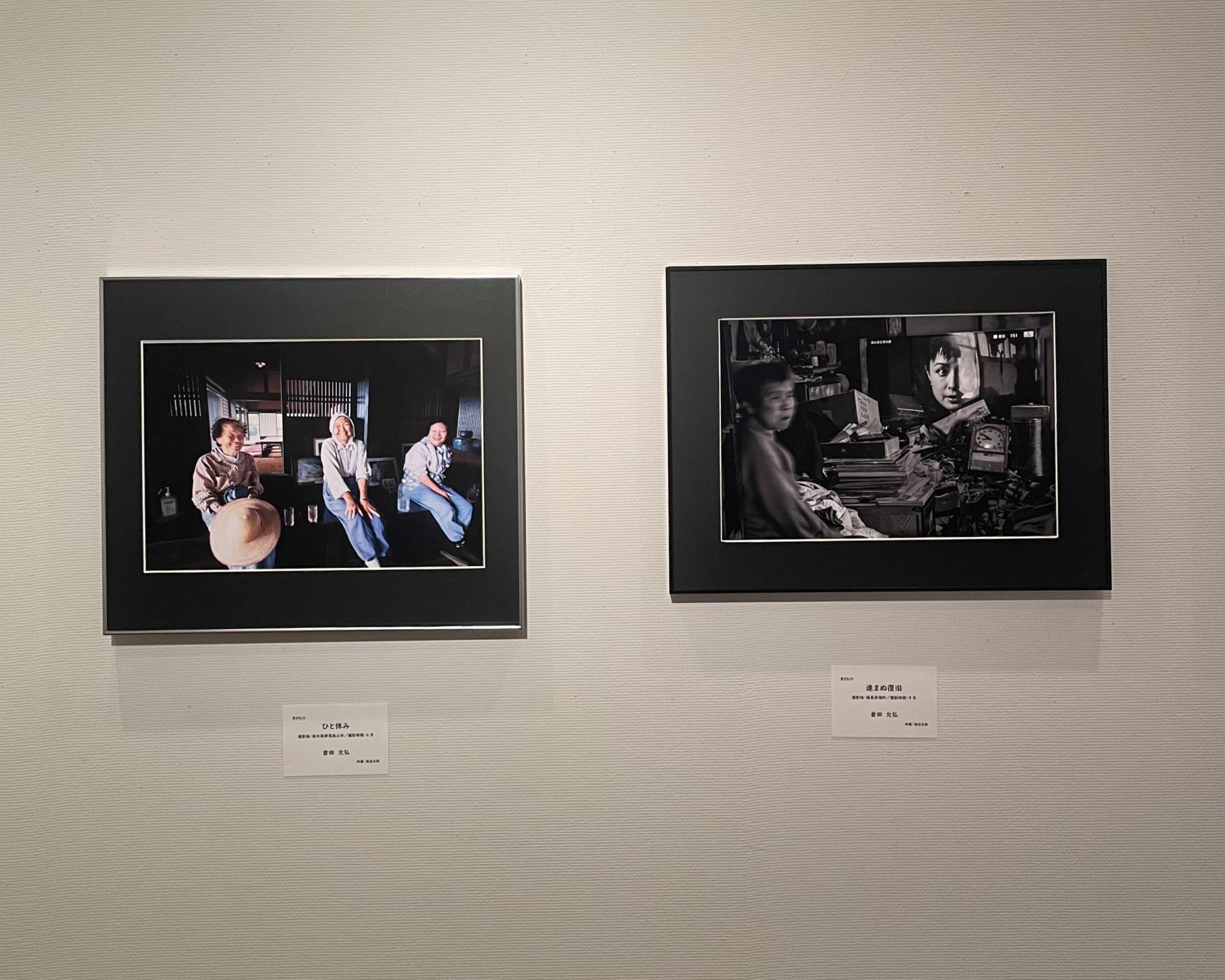 展示の様子 展示の様子