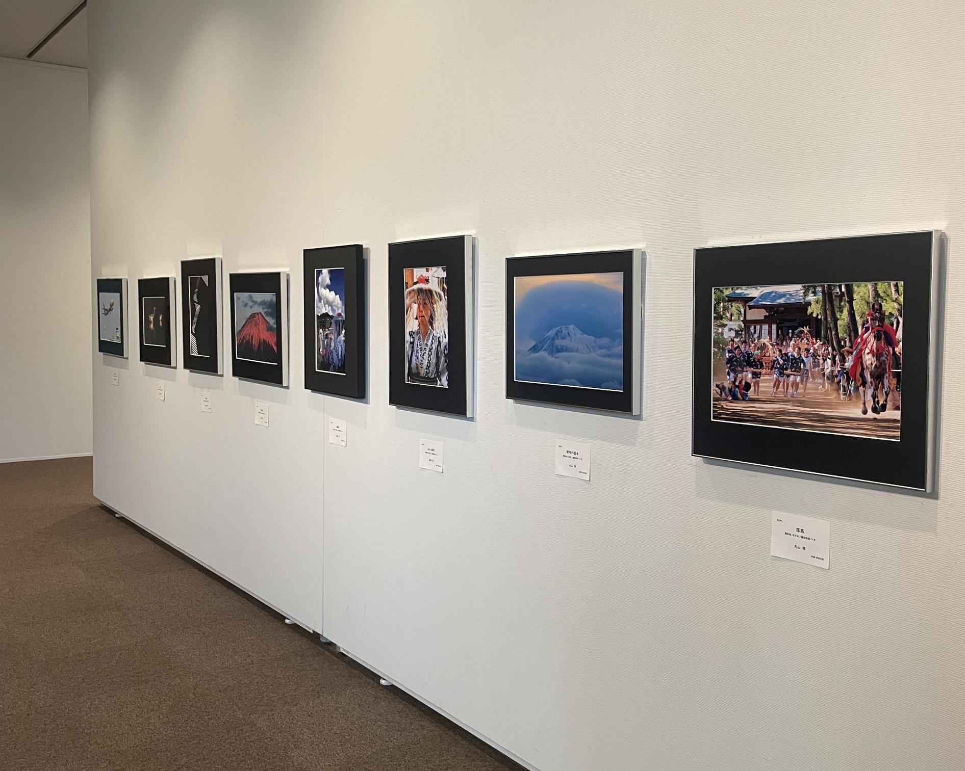 展示の様子 展示の様子