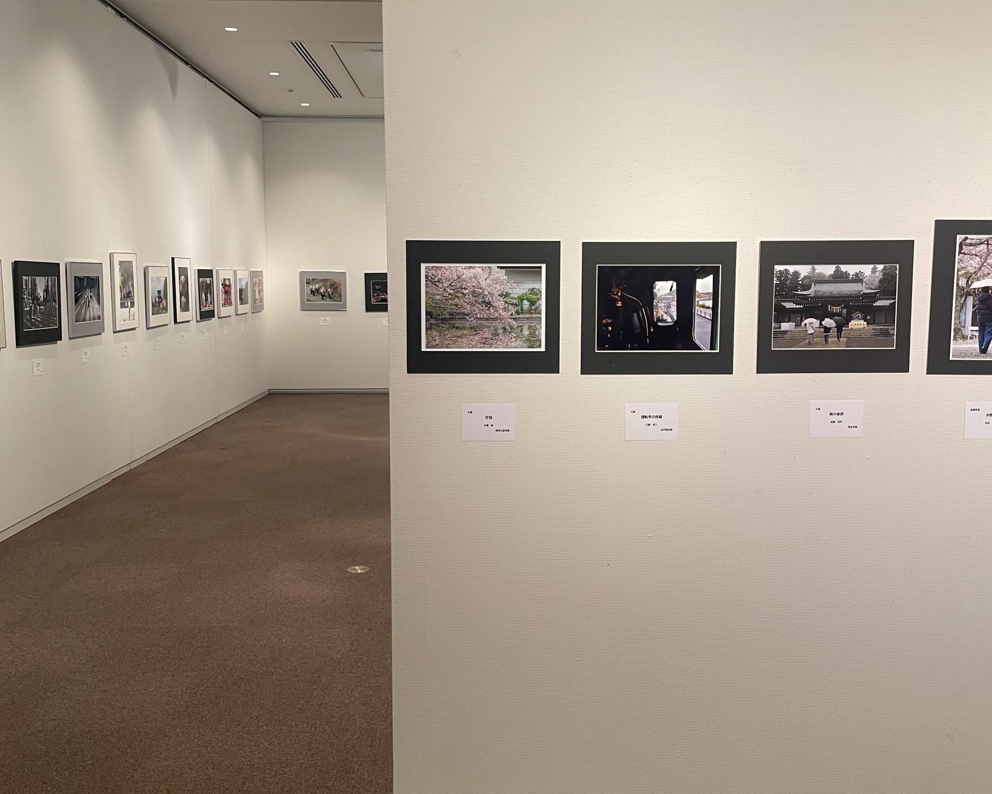 展示の様子 展示の様子