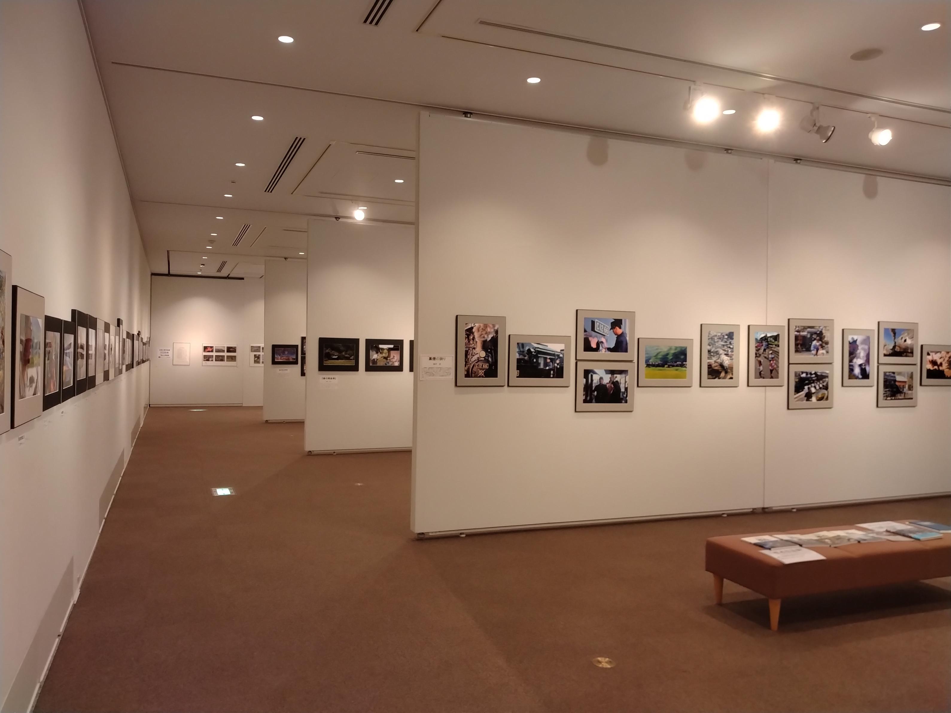 展示の様子