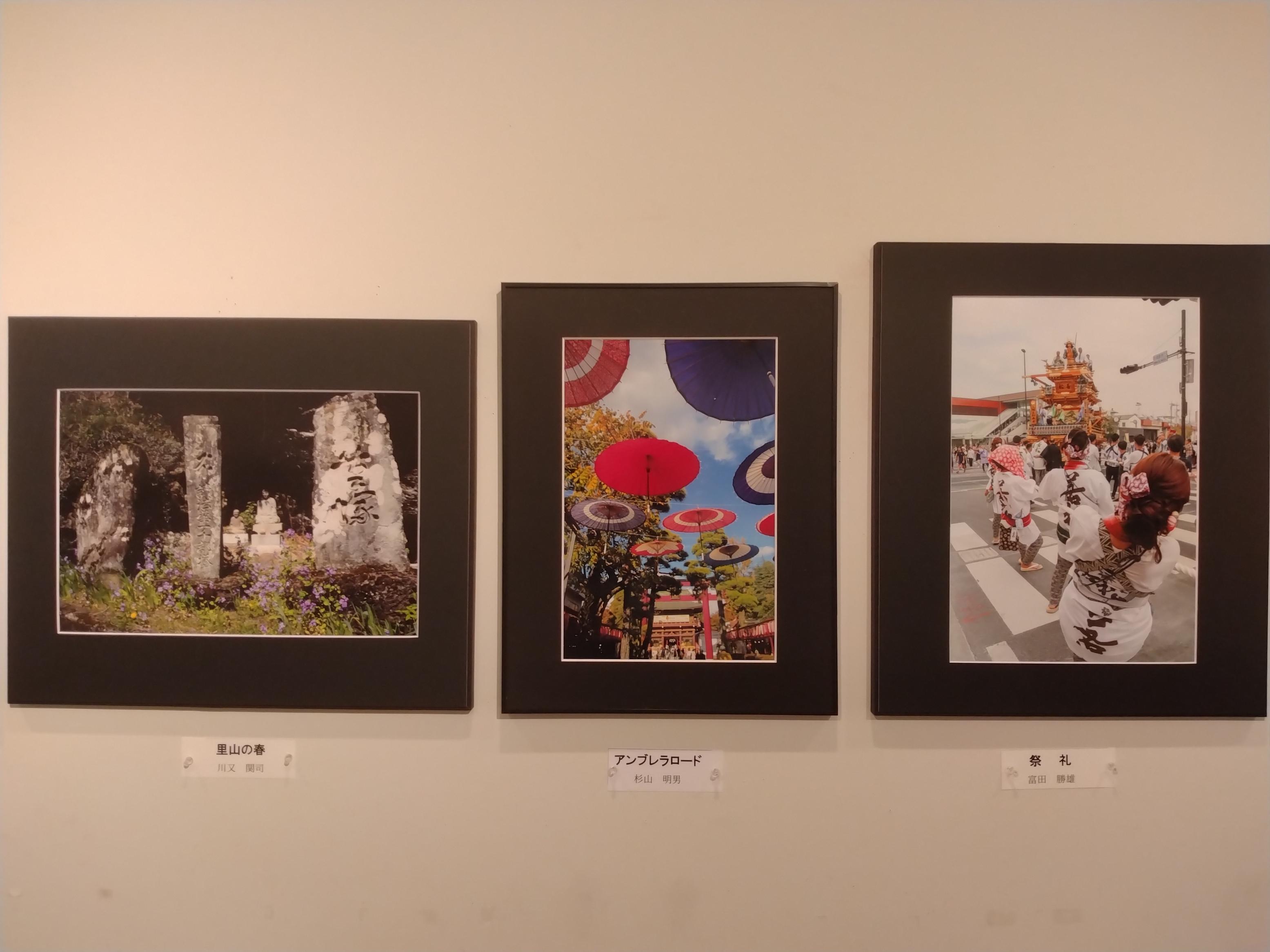展示の様子