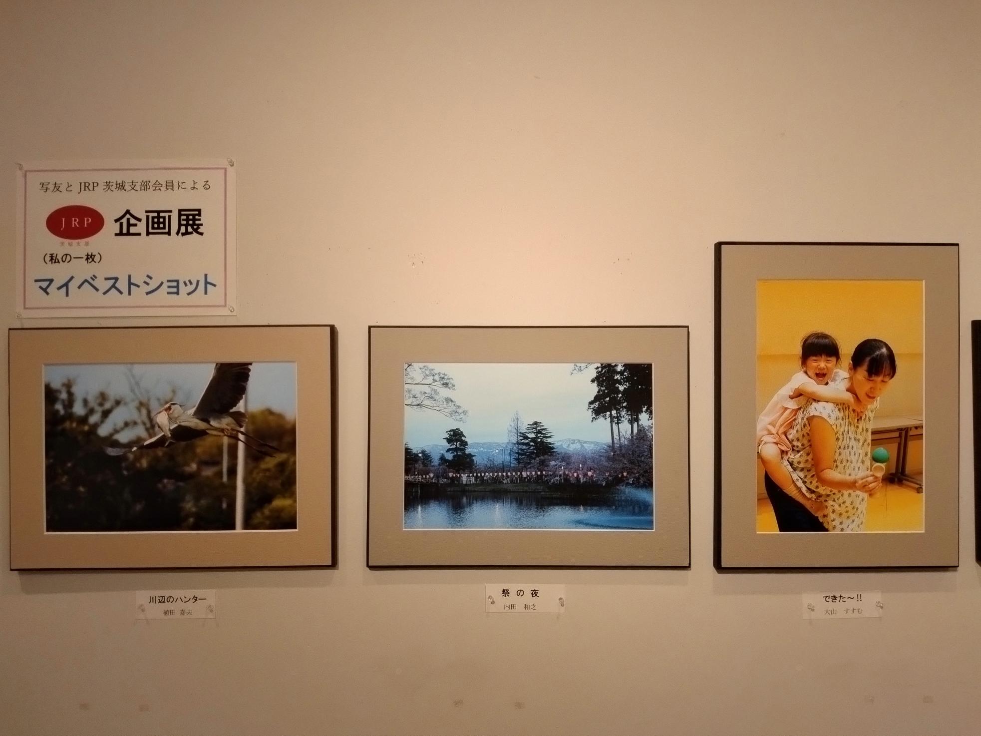 展示の様子