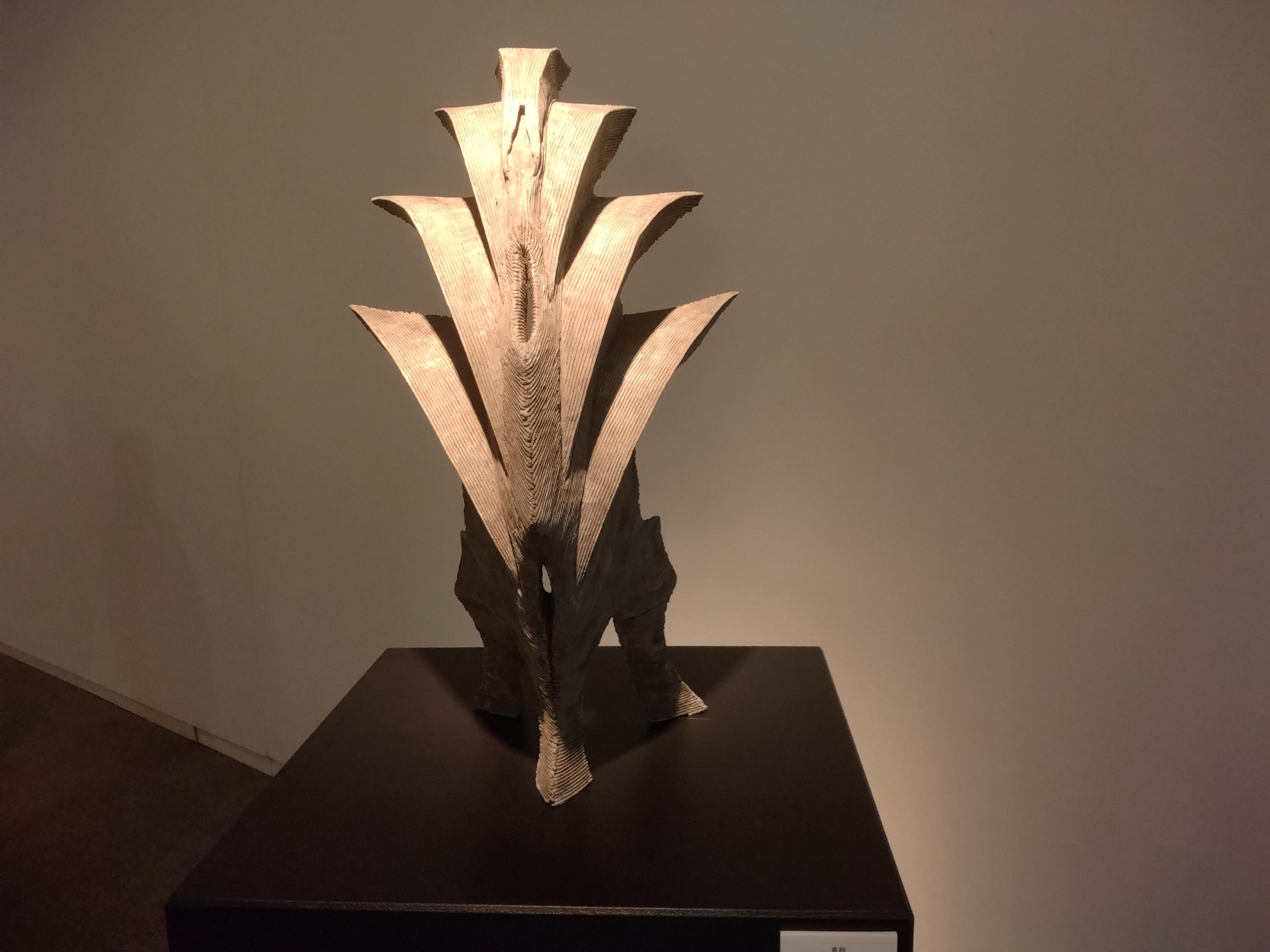 展示の様子