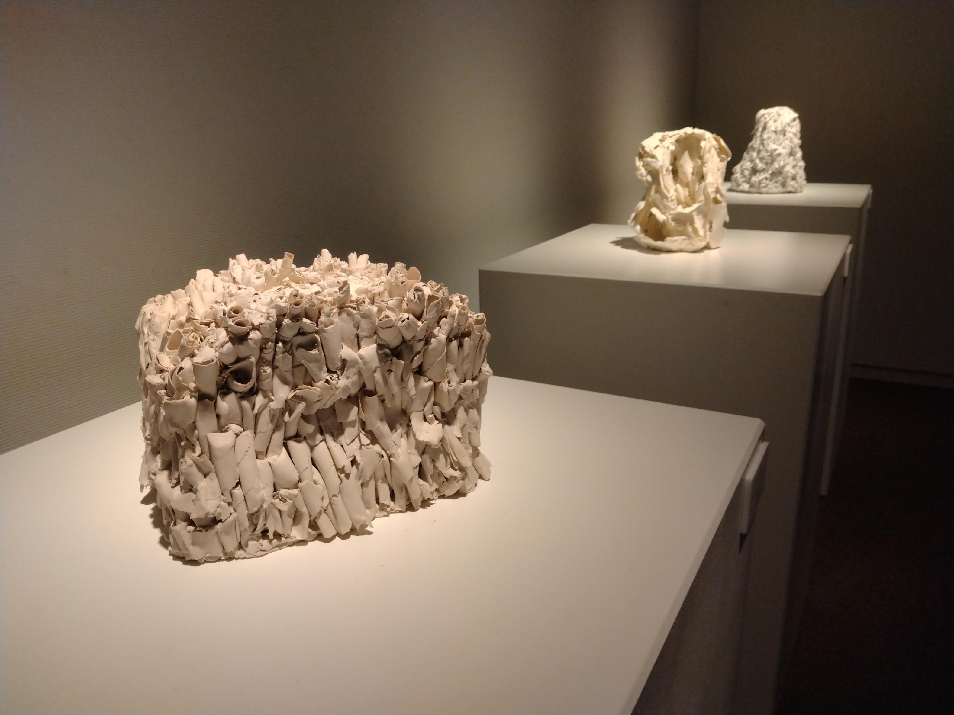 展示の様子