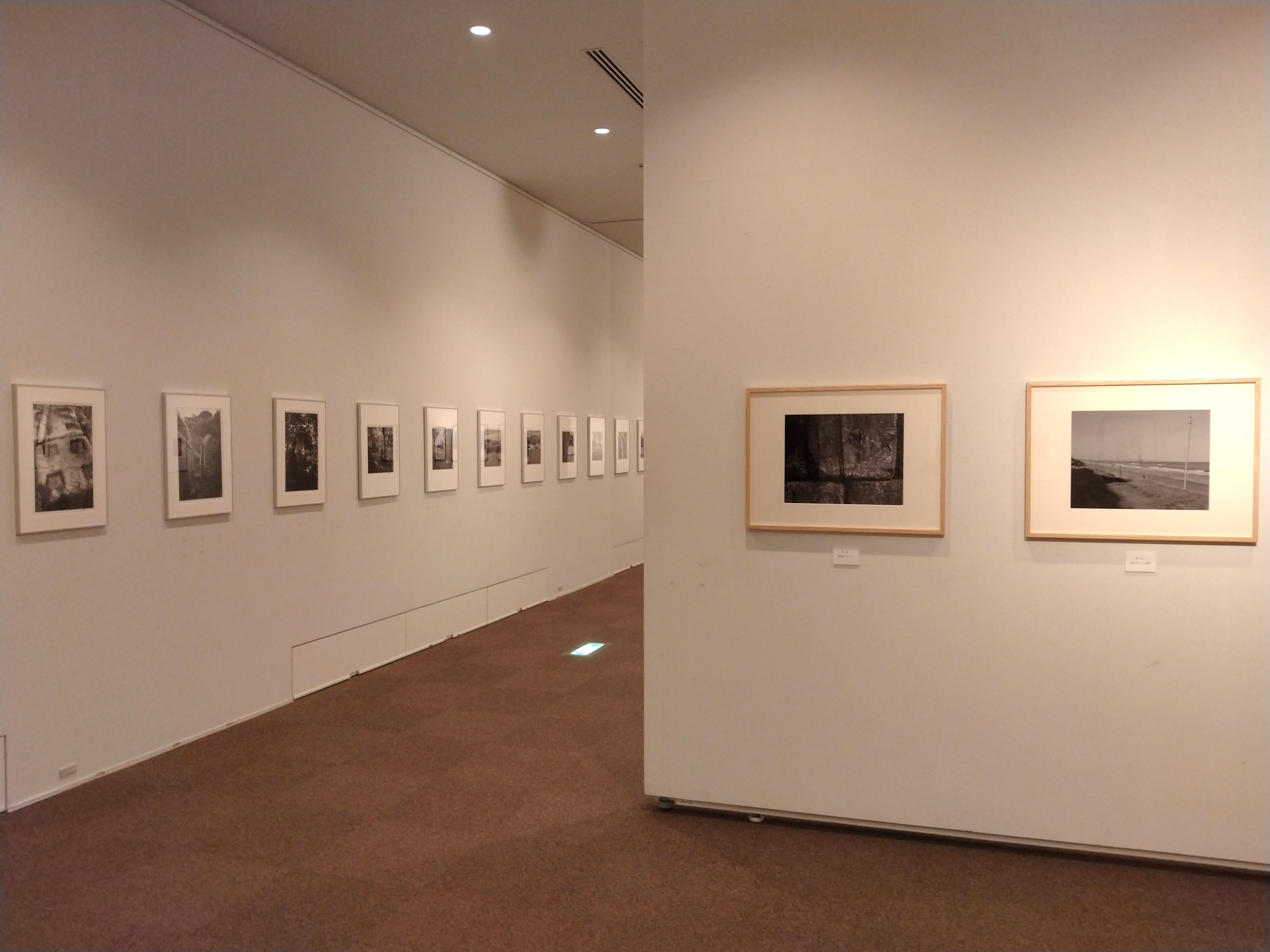 展示の様子